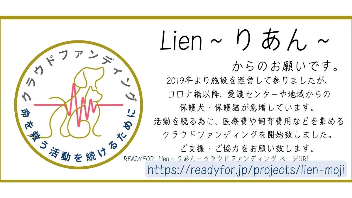 募金箱の設置について🎁🐈‍⬛❤️
