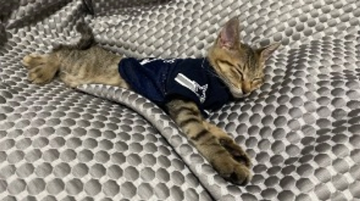 8/12(土)術後６回目の診察＆プロジェクト終了のご挨拶