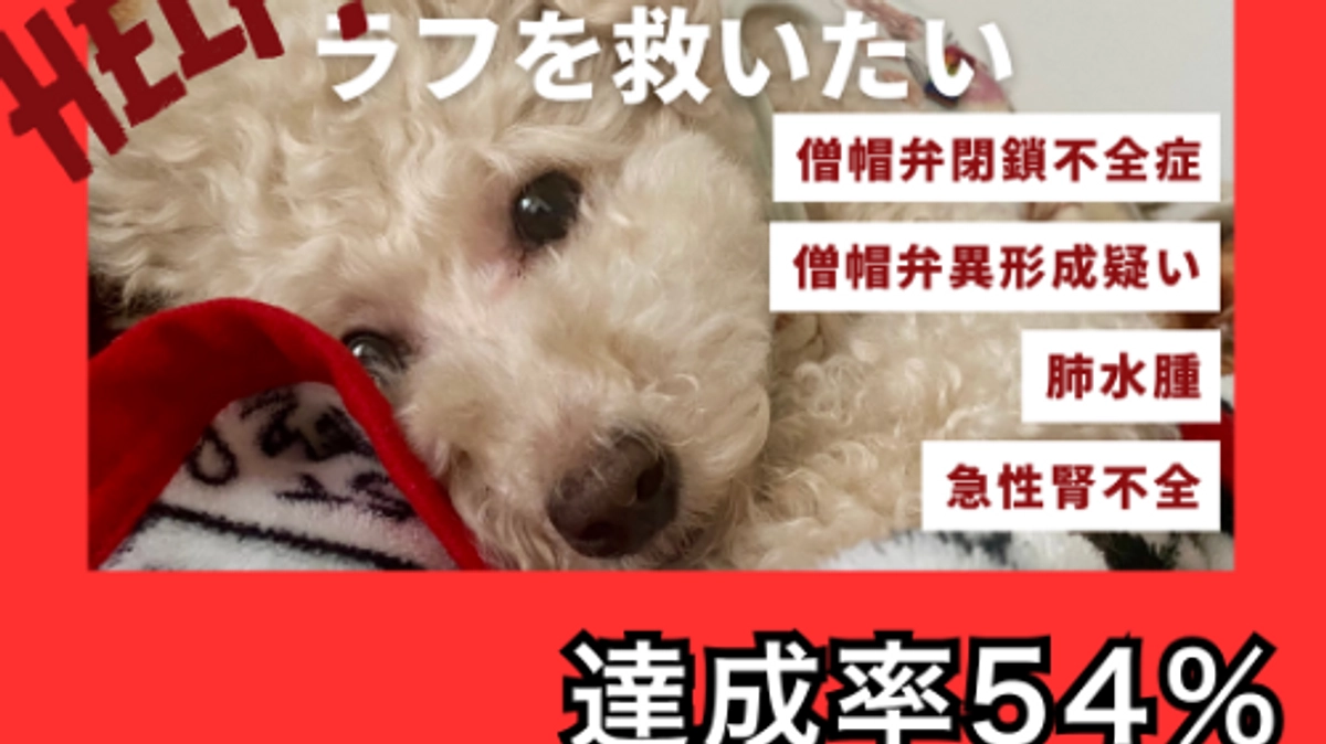 残り12時間。達成率54％…まだまだあきらめません！！