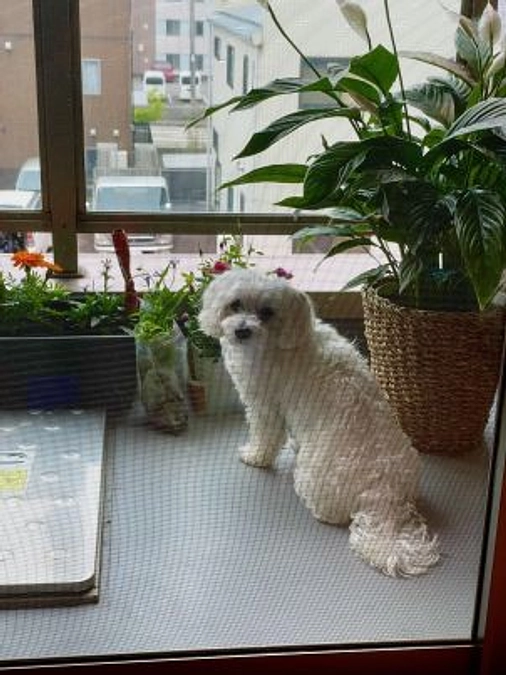 【金沢のアパートで一人暮らしが始まりました】