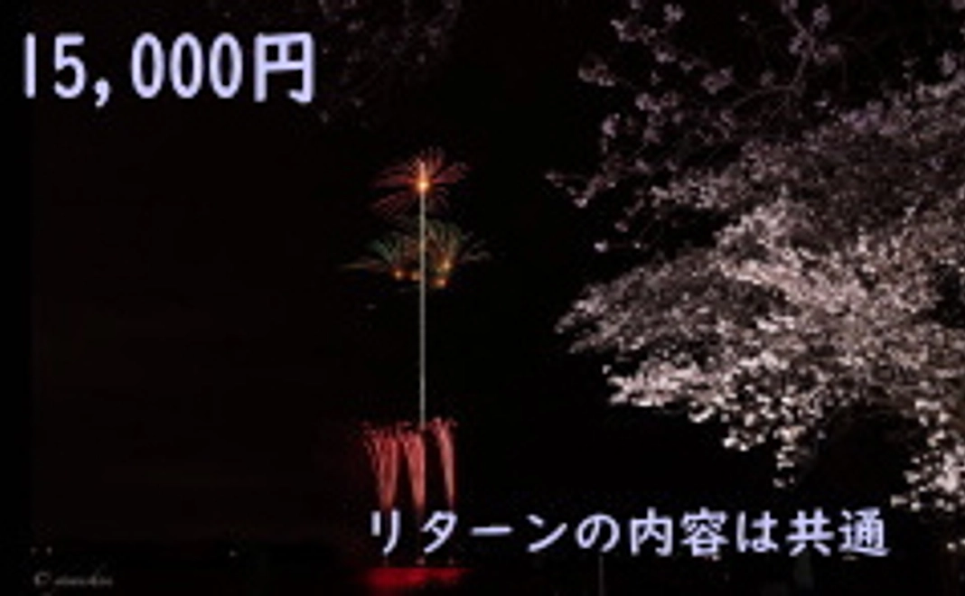 15,000円 +システム利用料(220円)
