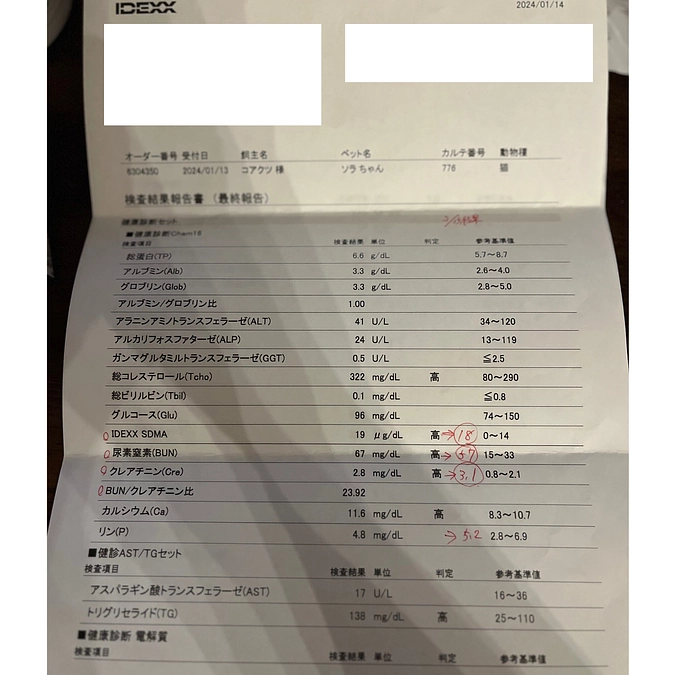 2/15 血液検査結果