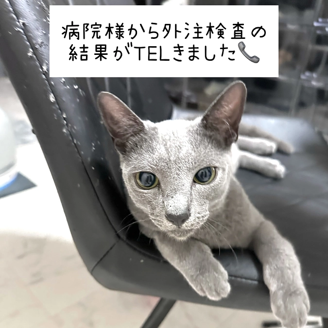 投薬終了できるかの検査結果が届きました…！