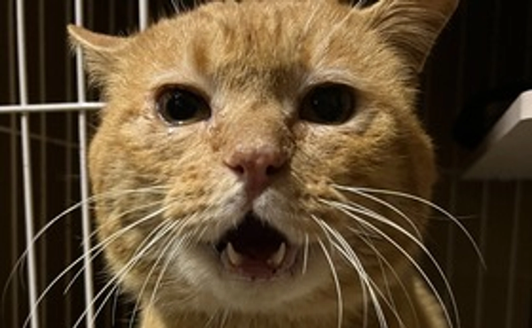 リターン不要１