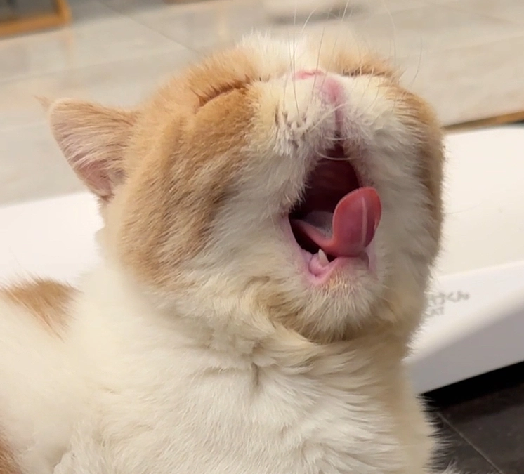 皆様のおかげです🙇🏻‍♀️‪‪本当にありがとうございます🙇🏻‍♀️‪‪