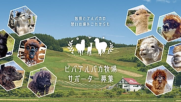 ビバアルパカ牧場サポーター募集｜皆様とアルパカの憩の場をこれからも のトップ画像