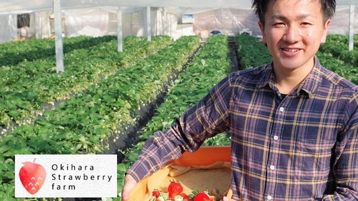 いちご農家が子どもたちへ食育！「おいしい！」がつくられるまで