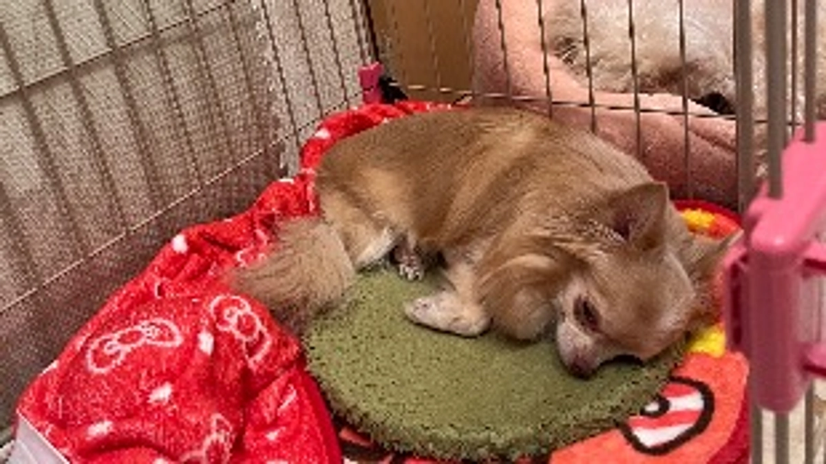 残り56日時間がありません