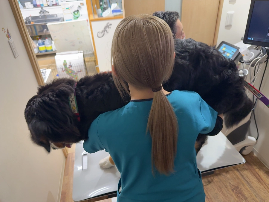 とうた、胃腸炎でした。