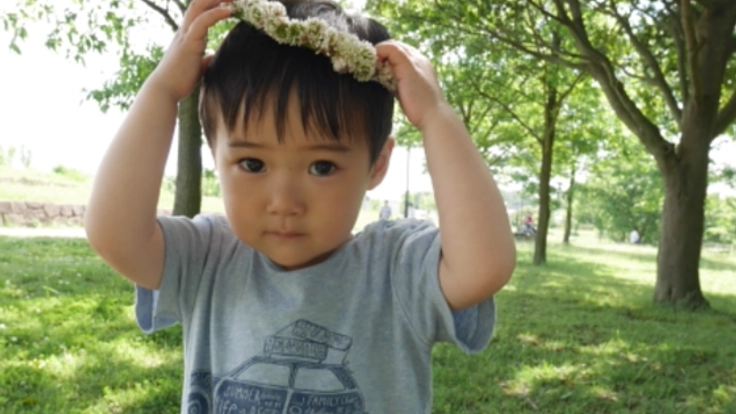 自主性を育てるモンテッソーリの教室を開講したい！