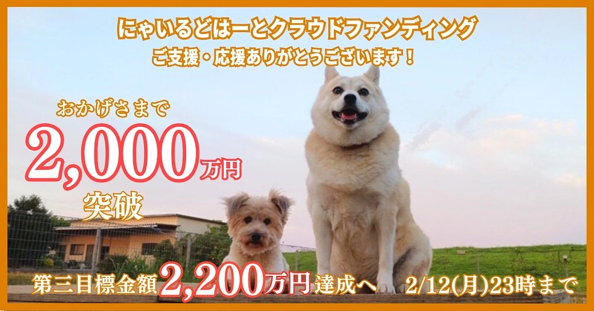 残り１日サードゴールへ走っています。