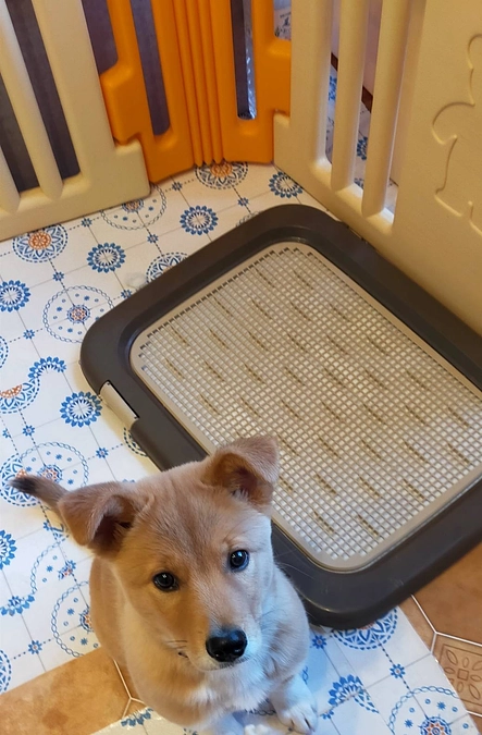 活動のご報告とお礼