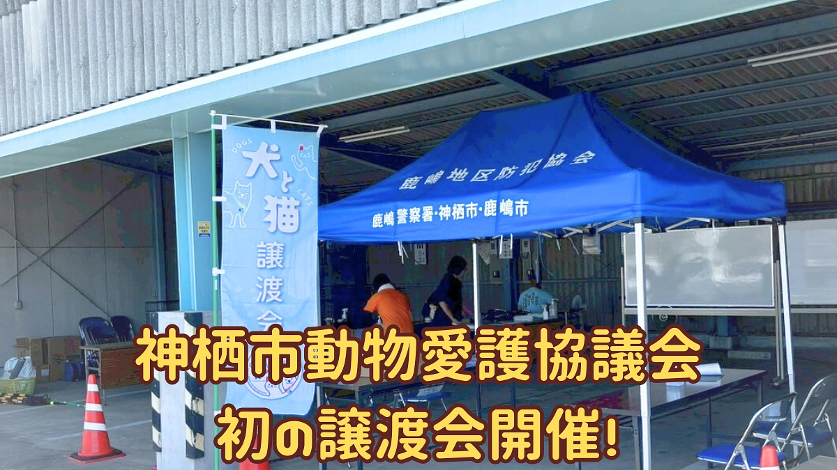 神栖市動物愛護協議会の初の譲渡会開催！