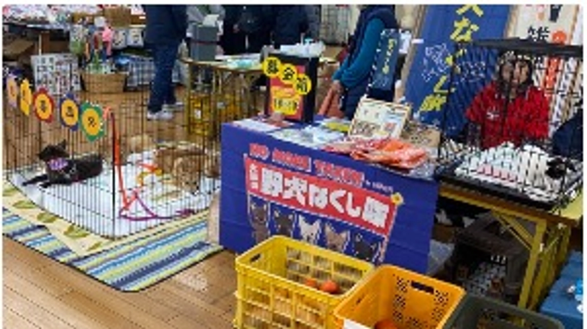 今年最後の譲渡会。