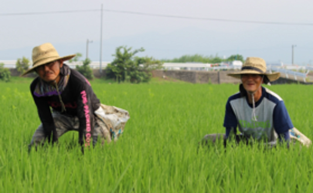 【気軽に応援コース】熊本復興と共に、この取り組みを応援しよう!