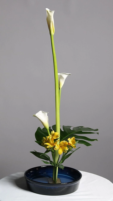 エントリナンバー07