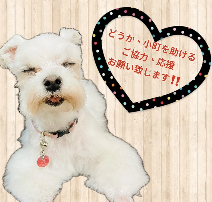 残り38時間⏳⏳⏳