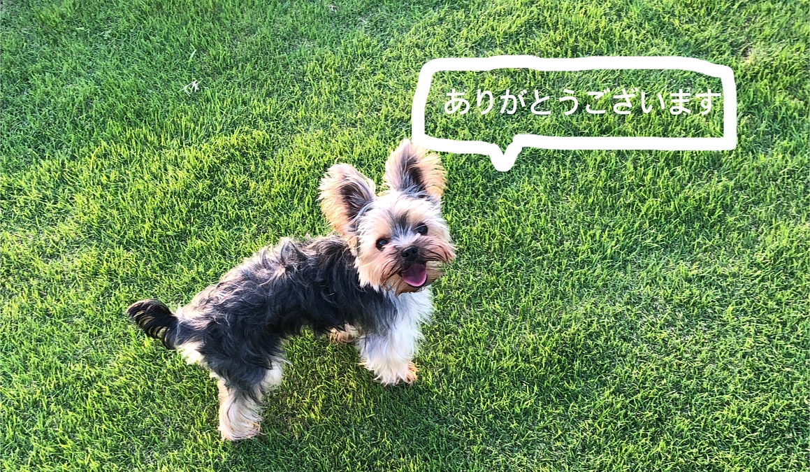 ありがとうございます😌