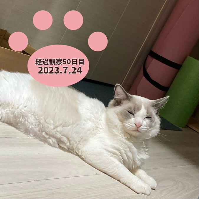 経過観察50日目(2023.7.24)