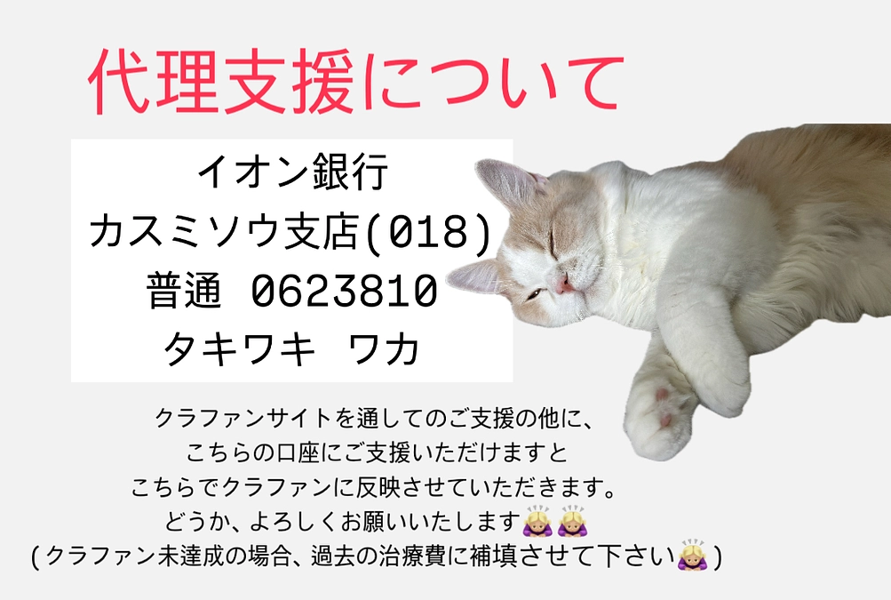 おはようございます。代理支援について