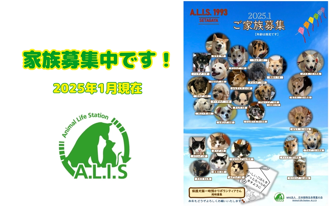 🐶🐱家族募集中の子たち 〜2025/1月〜