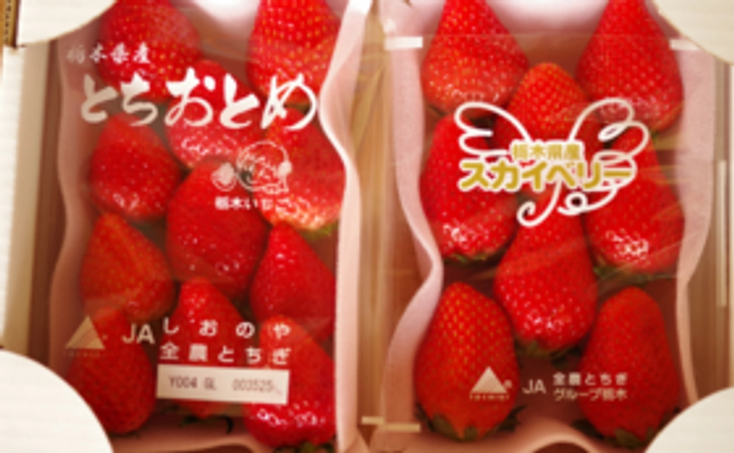 【みなさんの力の結集が大きな力！】贅沢な栃木のいちご　食べ比べセット