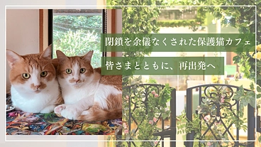 ととの森｜猫と人が出会い、温かいご縁を繋ぐ「はじまりの場」の開設へ のトップ画像