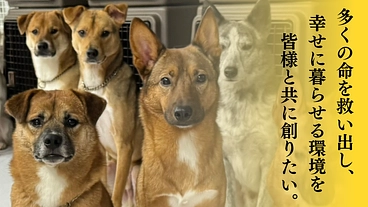 共に築く未来~皆がGUARDIANとなりこの子たちの基地の為に~ のトップ画像