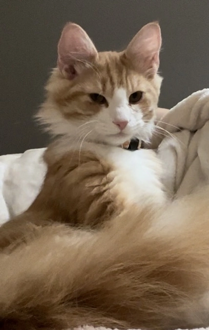 残り15日となりました！