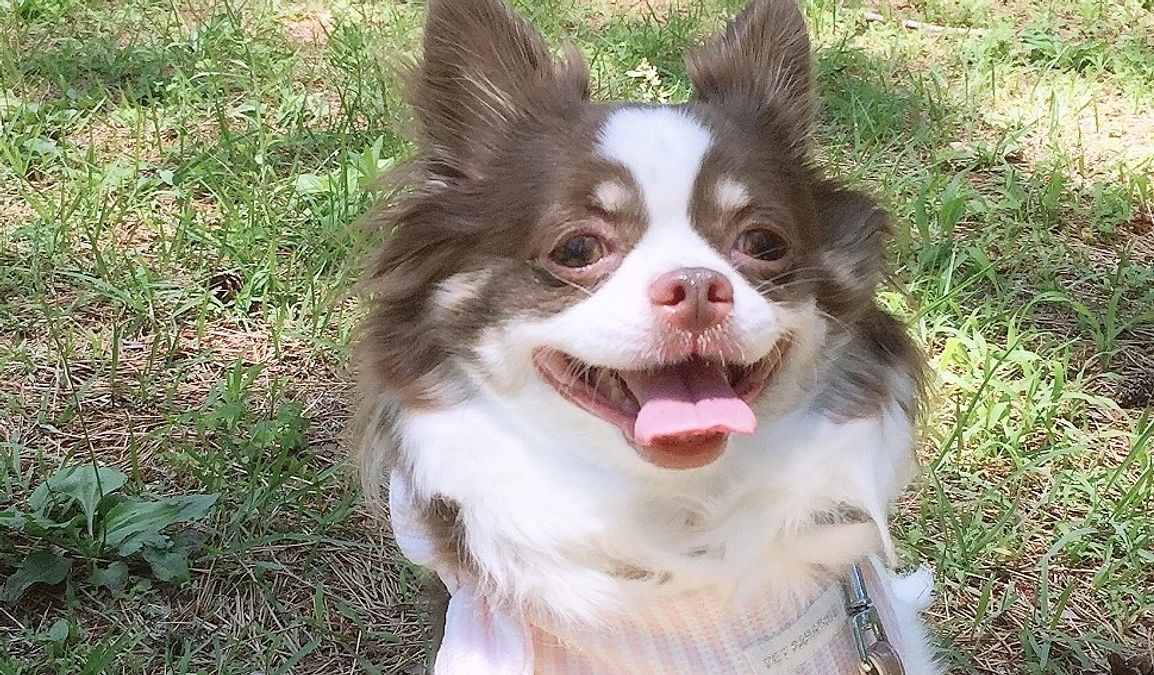 2024.01.11 22時からインスタライブをさせていただきます🙇🏼‍♀️