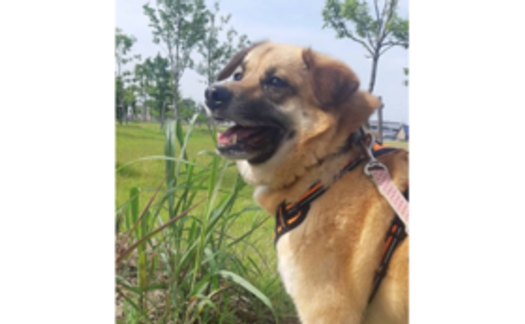 プロジェクト応援！ファイトコース