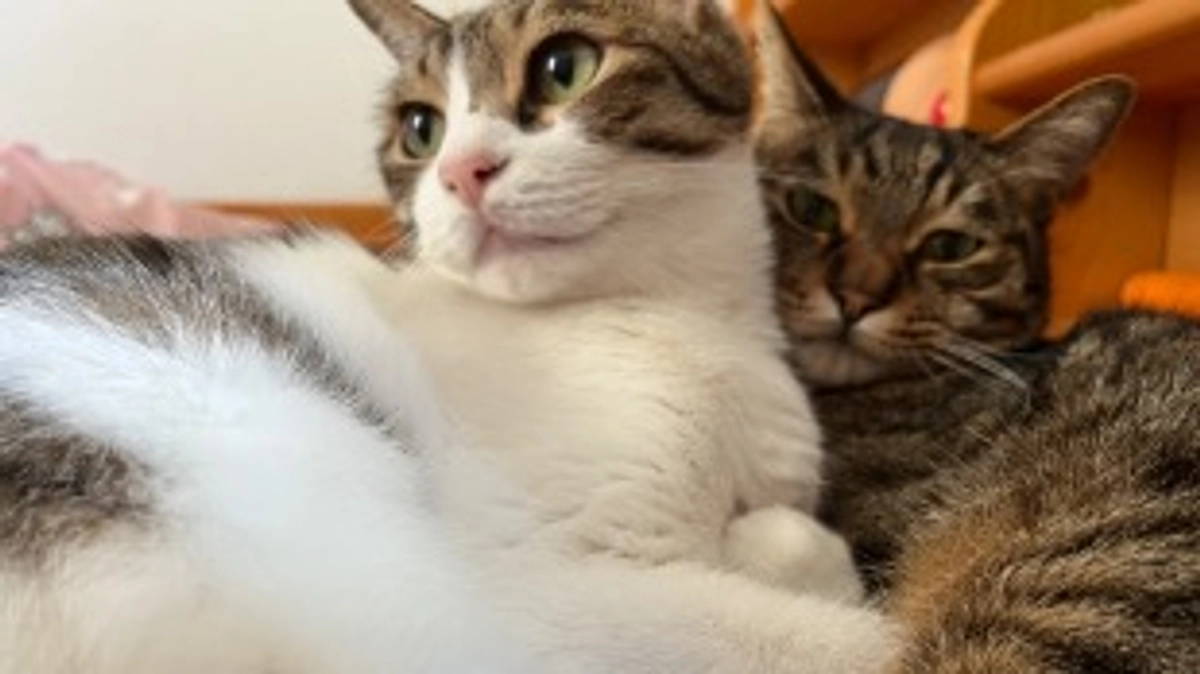 【今日のなっちゃん】6月8日