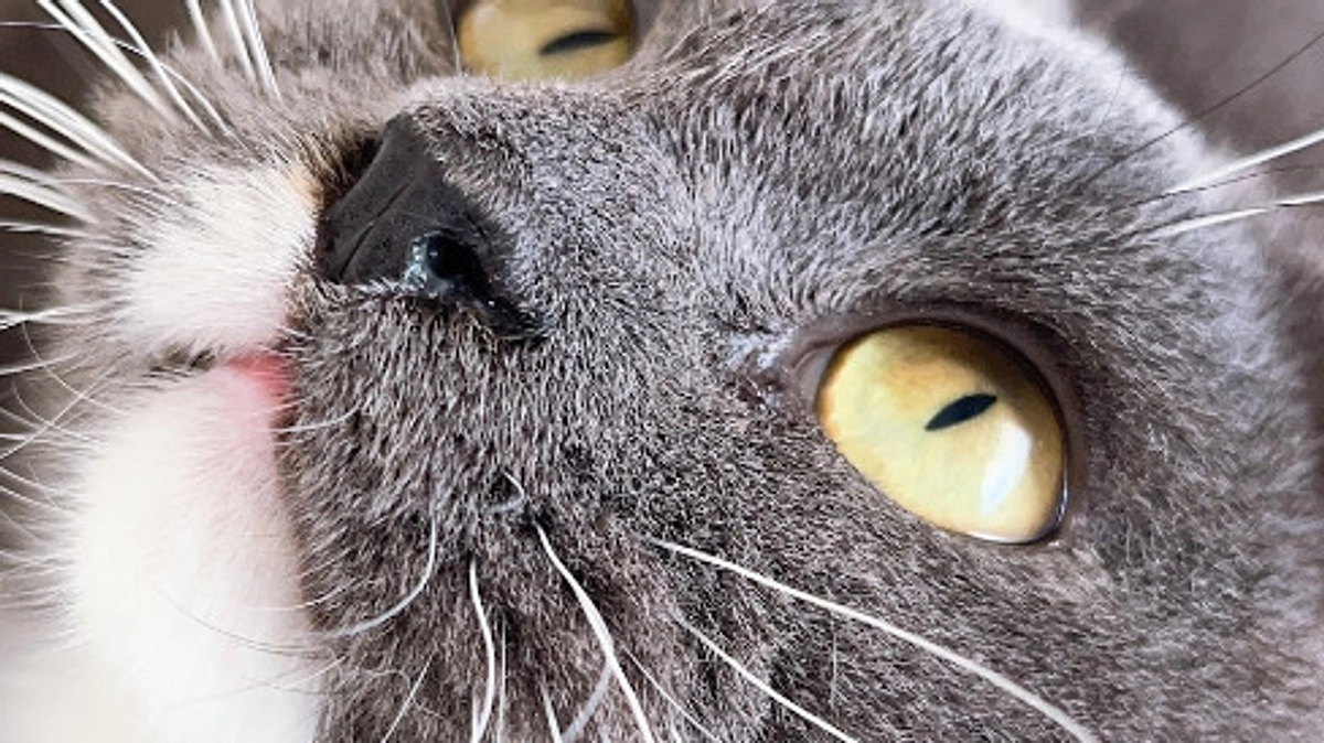 ７月26日通院記録