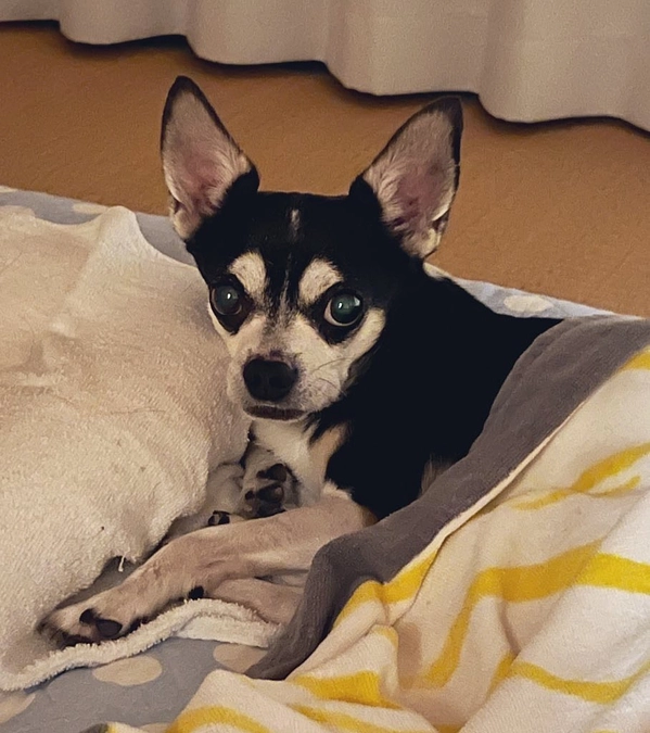 現在伸び悩んでおります…