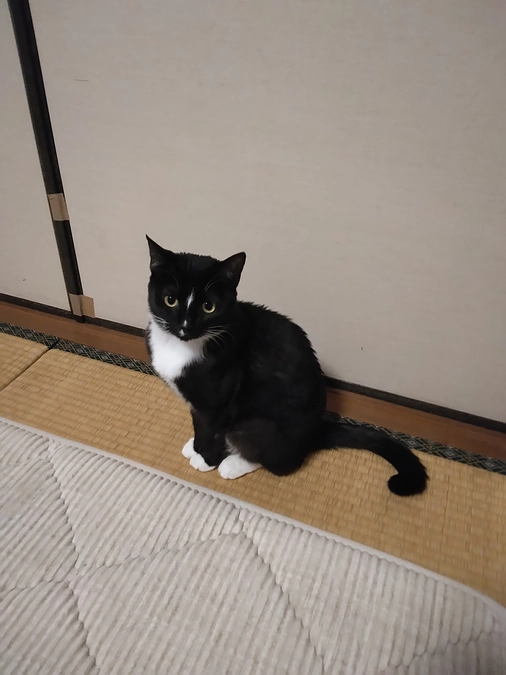 2/7はなちゃんの様子