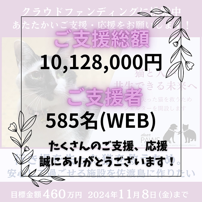 たくたんのご支援、本当にありがとうございます！