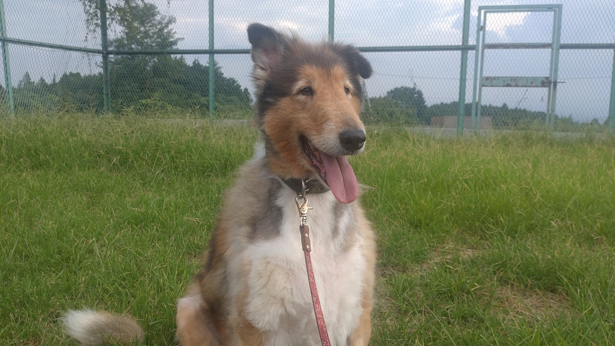 ご支援感謝致します！