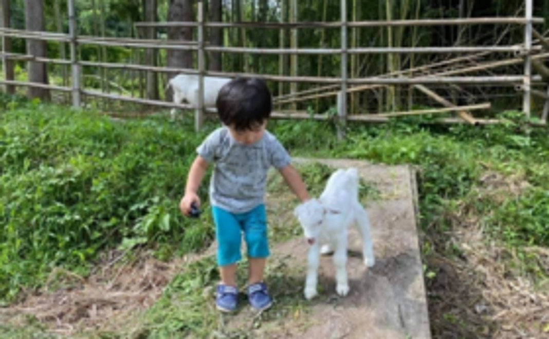 5,000円|感謝のメール