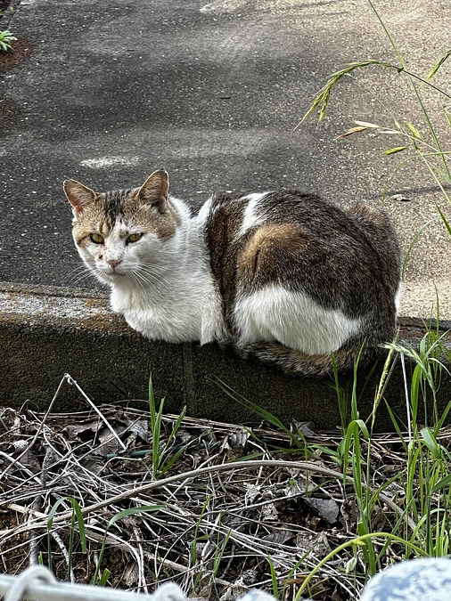 エイズキャリアでも幸せになる！