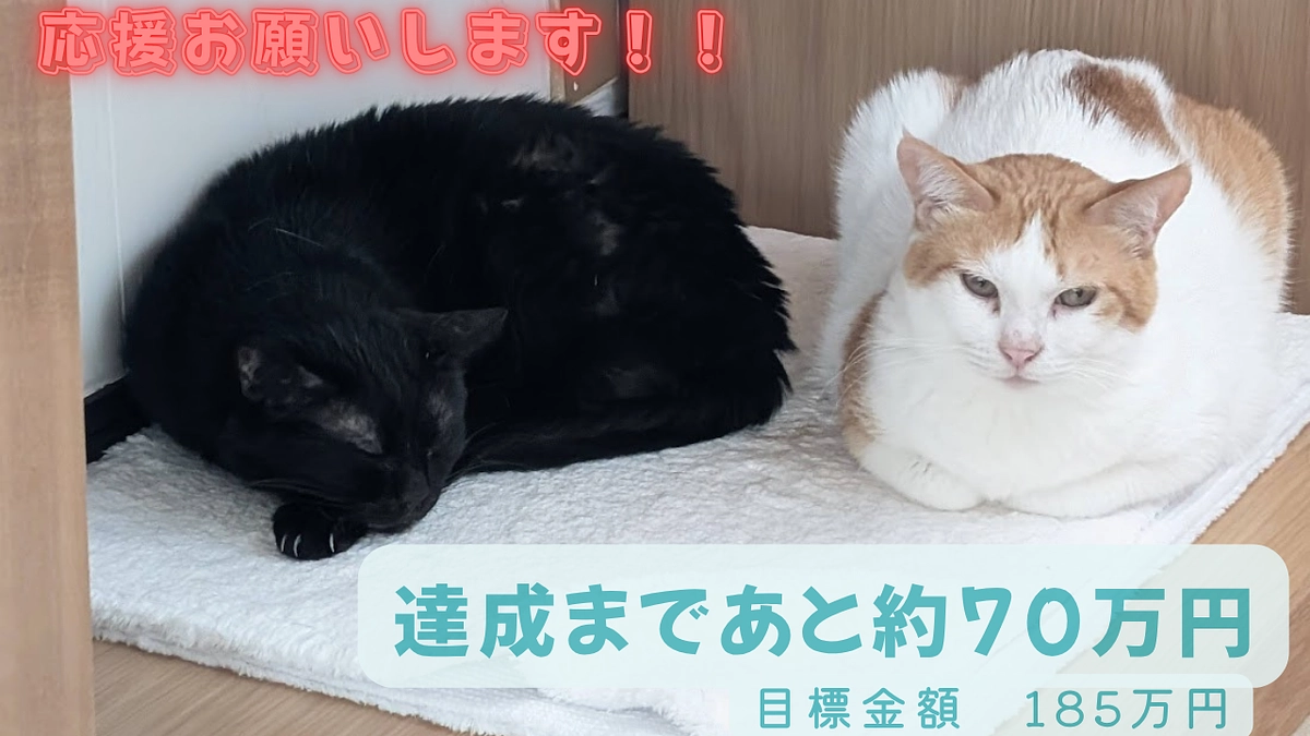 64％達成！！目標達成に向けて引き続き、ご協力、ご支援をお願いします。