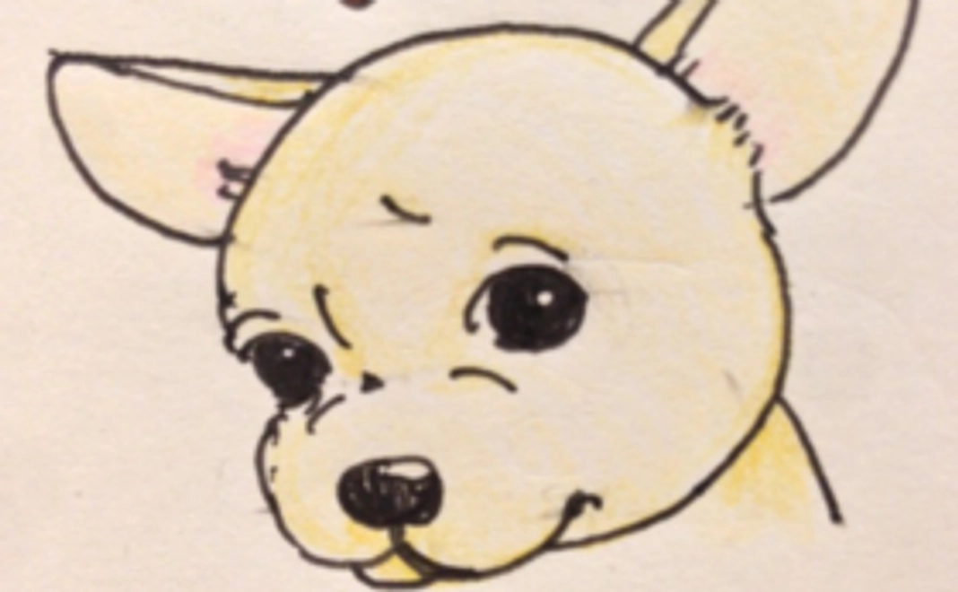 セミナー聴講(質問時間等含め90分)費用の免除。オリジナルクリップピン(#2)。