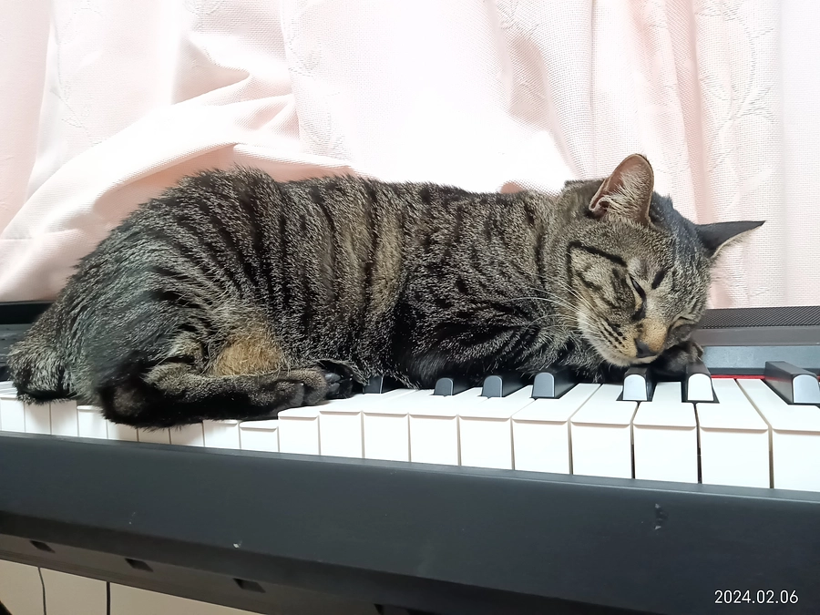 お子様からのご支援など。