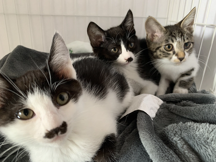 おすすめリターンのご紹介(オリジナルお菓子とコーヒー)