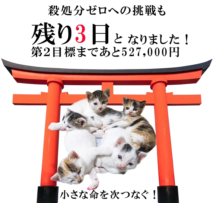 残り3日！ネクストゴールへ挑戦中！あと一歩！もう少し！