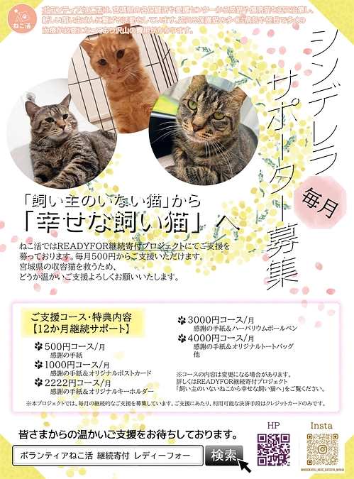 常設型のチラシをリニューアルしました