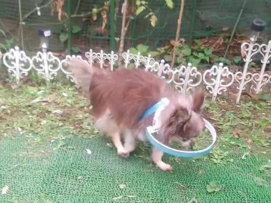 作り続けられますように祈ってます