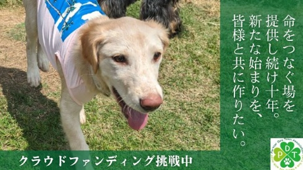 【新クラウドファンディング挑戦中！】2024年4月からの代表変更のご挨拶と新PJのご支援のお願い