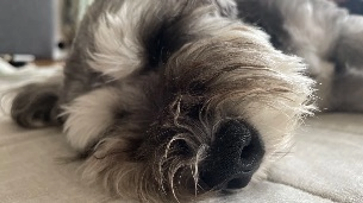 残り約2日となりました！😊