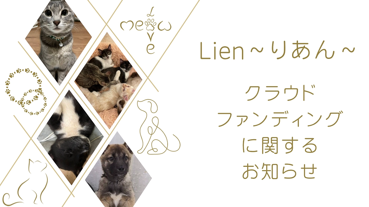 郵送でのお知らせと、支援様へのお願い✧︎*。