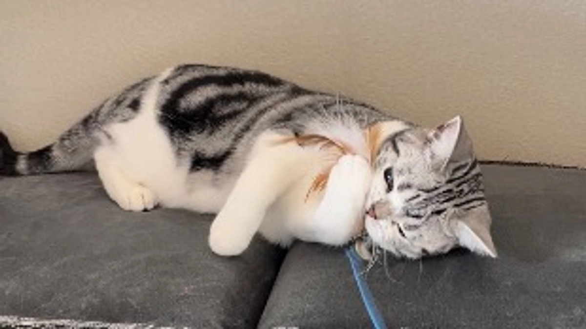 寛解のご報告✨